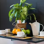 Cracow Location With Garden By Cozyplace *
