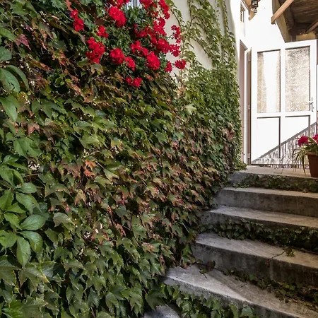 Lägenhet Cracow Location With Garden By Cozyplace